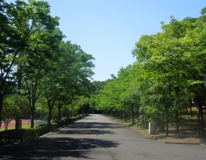 競技場遊歩道DSCN6025